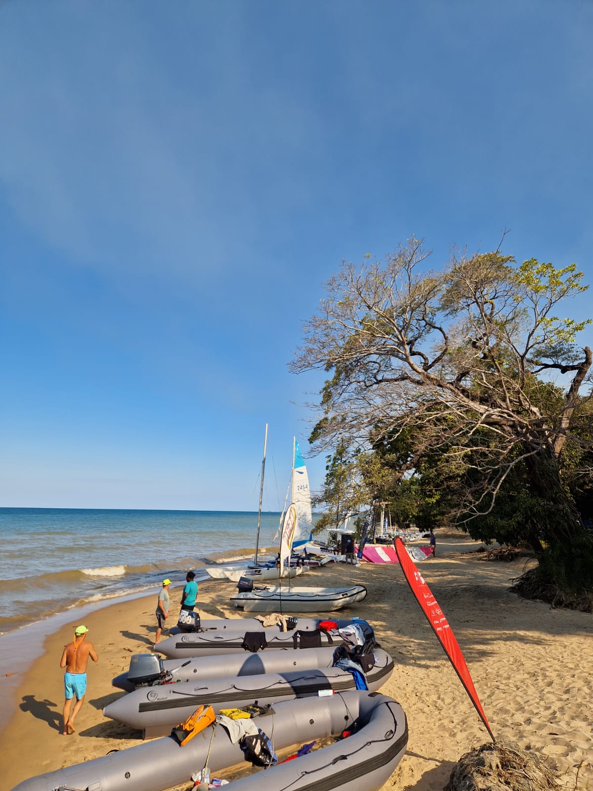 Day 4 Image 8